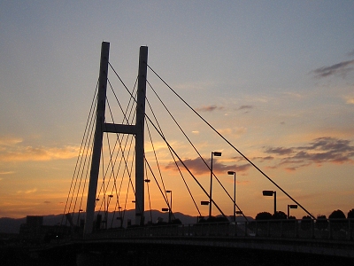 暗い道は危ない_a0003166_128596.jpg
