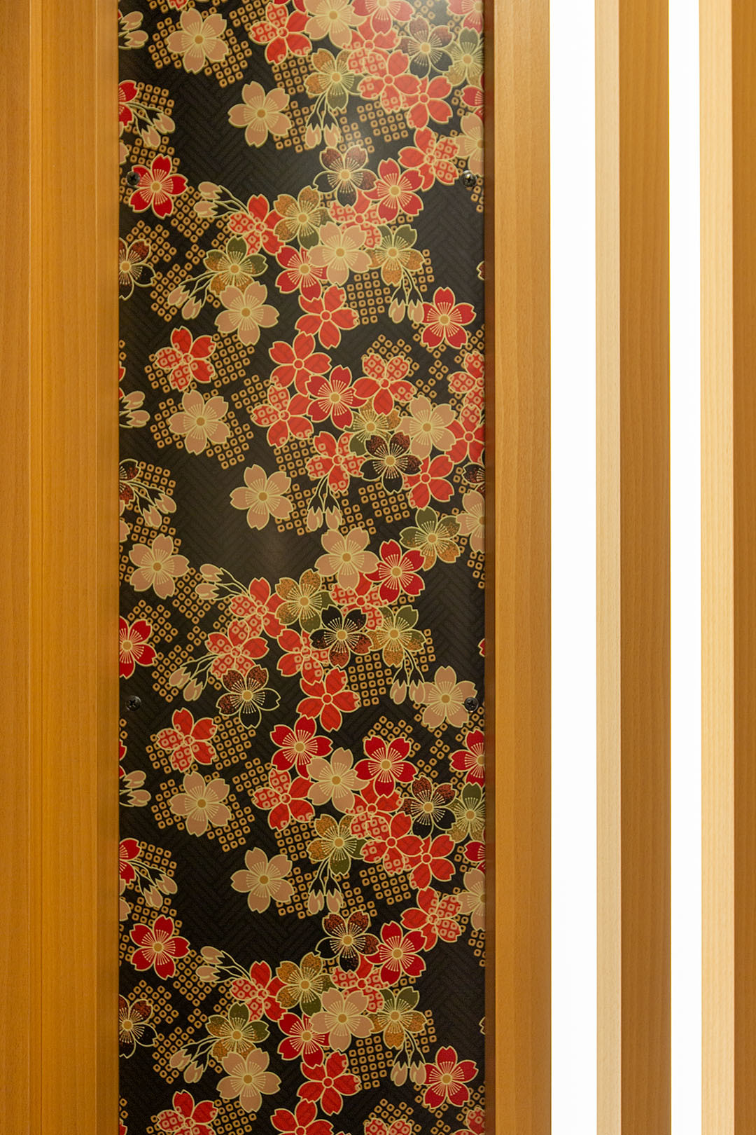 京とれいん雅洛_a0003166_13014580.jpg
