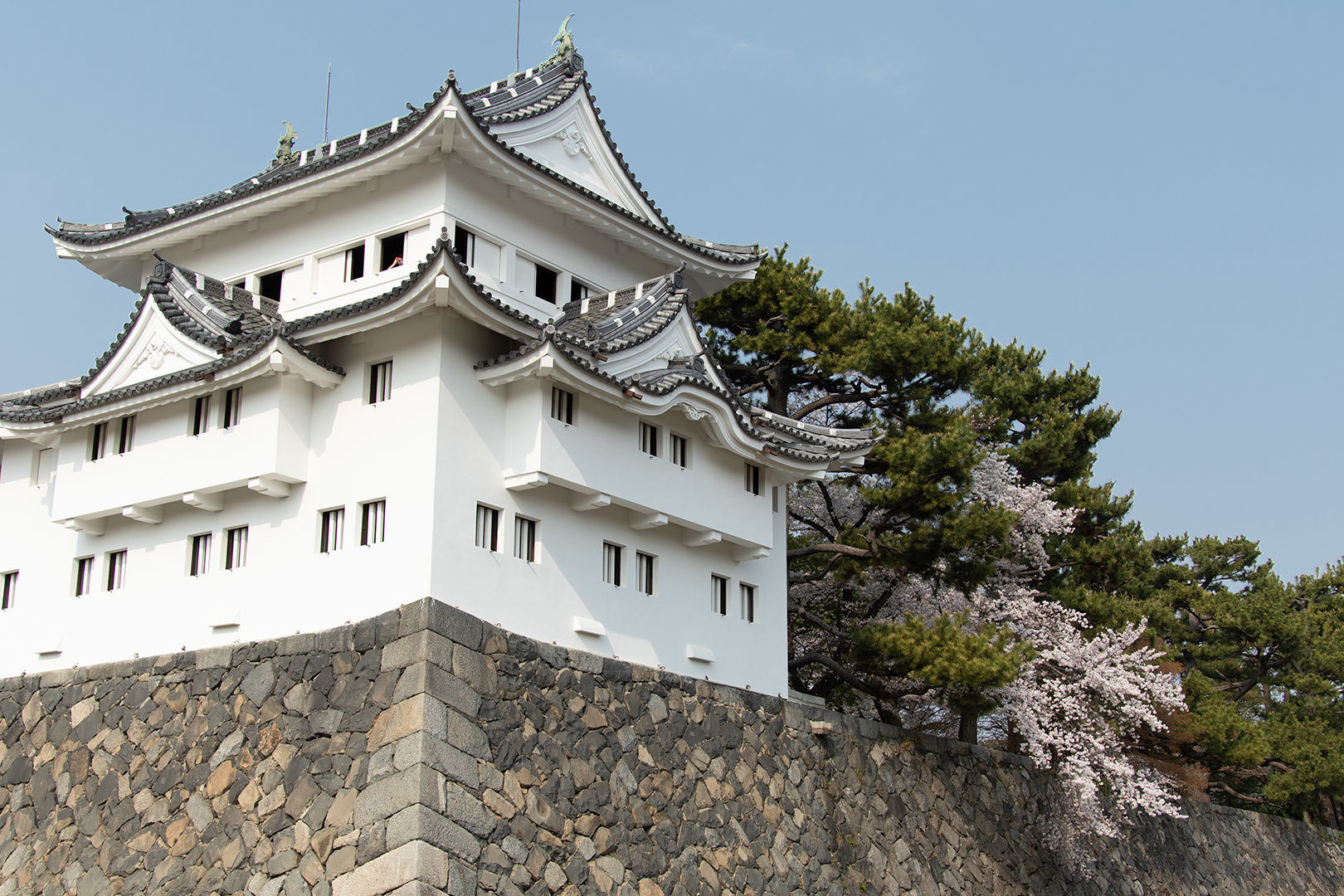 桜 名古屋城_a0003166_13060126.jpg