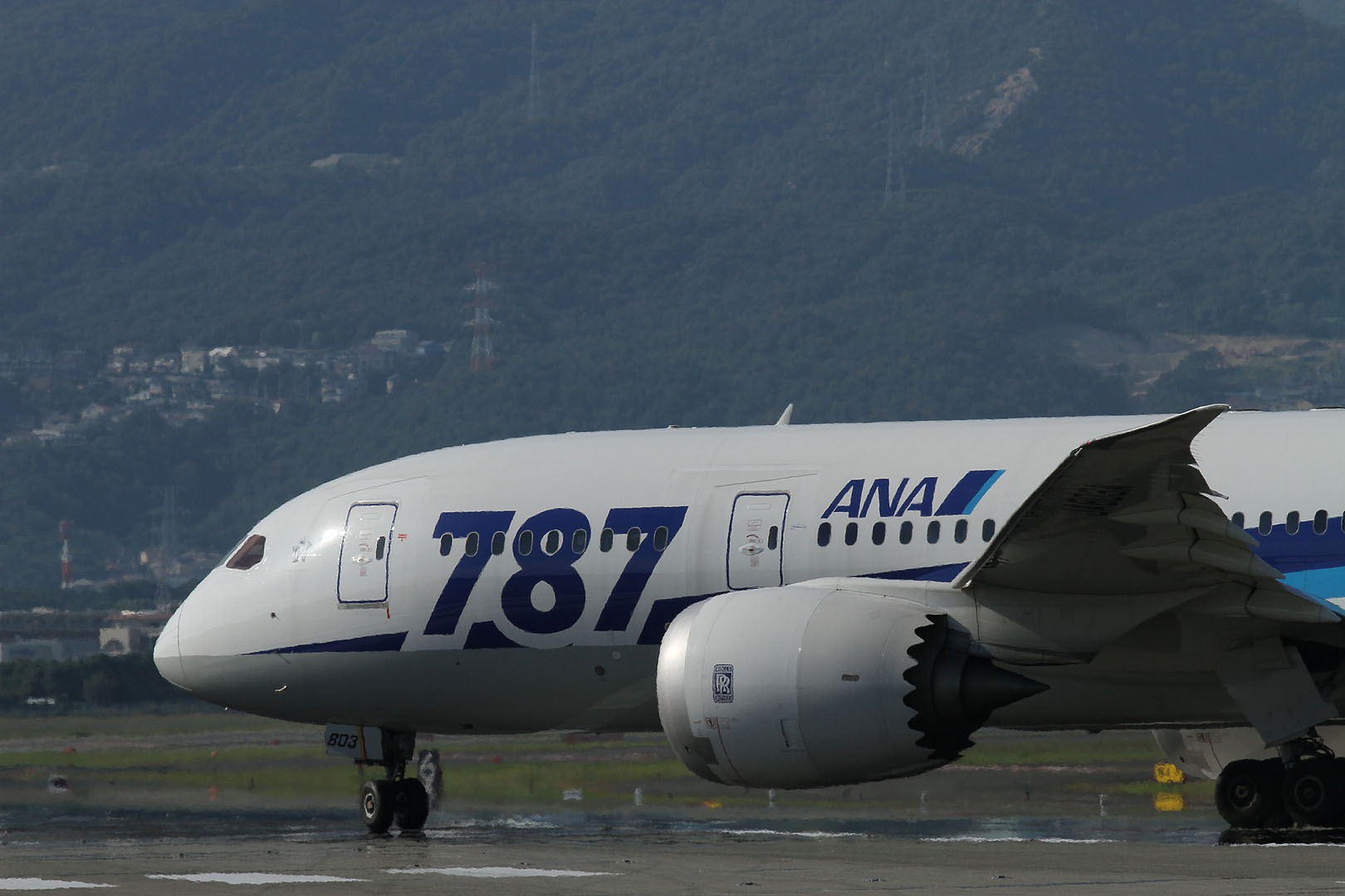 飛行機 （伊丹空港 千里川）_a0003166_1325147.jpg