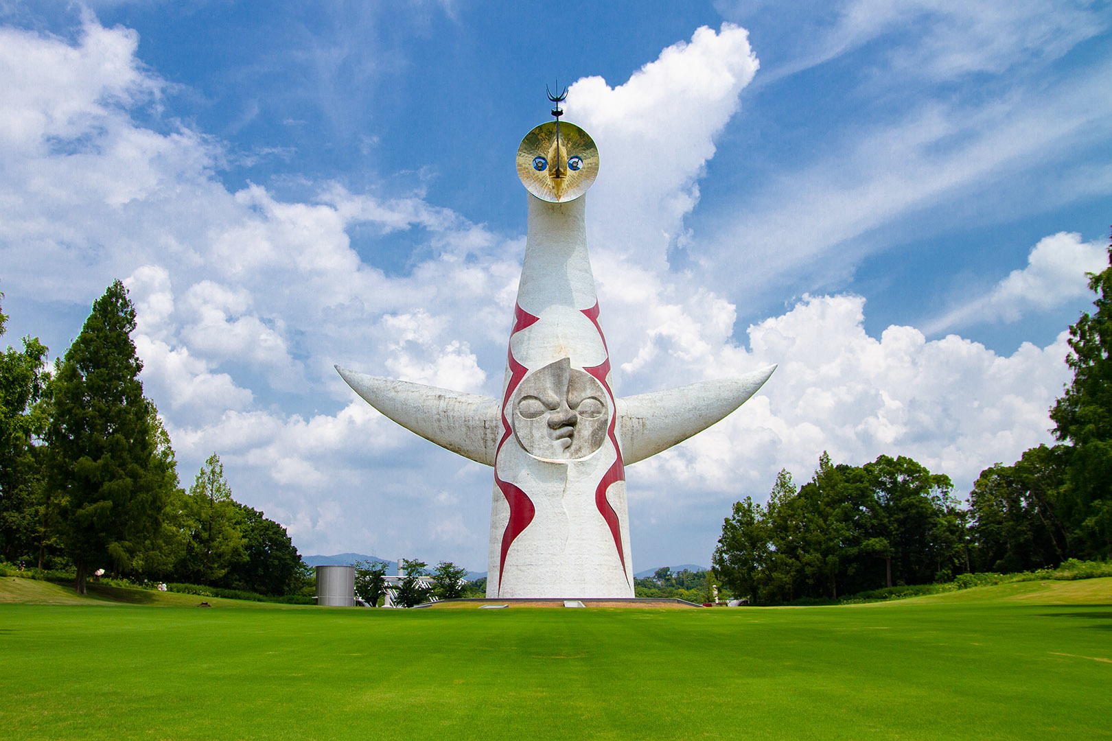 ヒマワリ　万博公園_a0003166_13354049.jpg