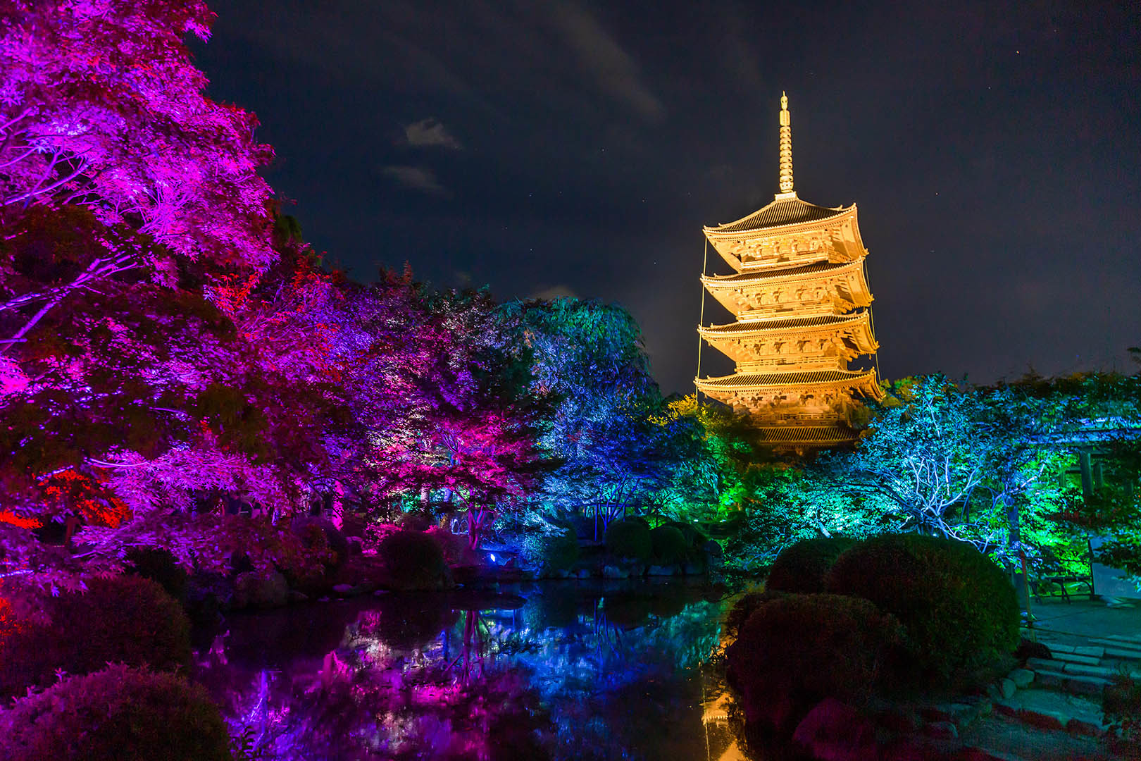 チームラボ 東寺 光の祭_a0003166_13395773.jpg