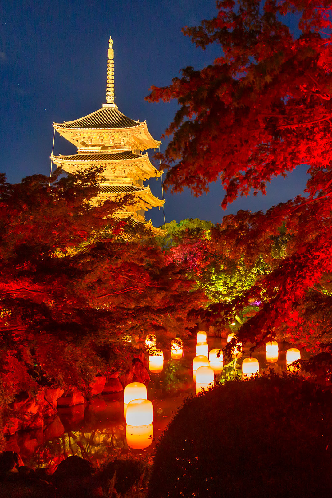 チームラボ 東寺 光の祭_a0003166_13400301.jpg