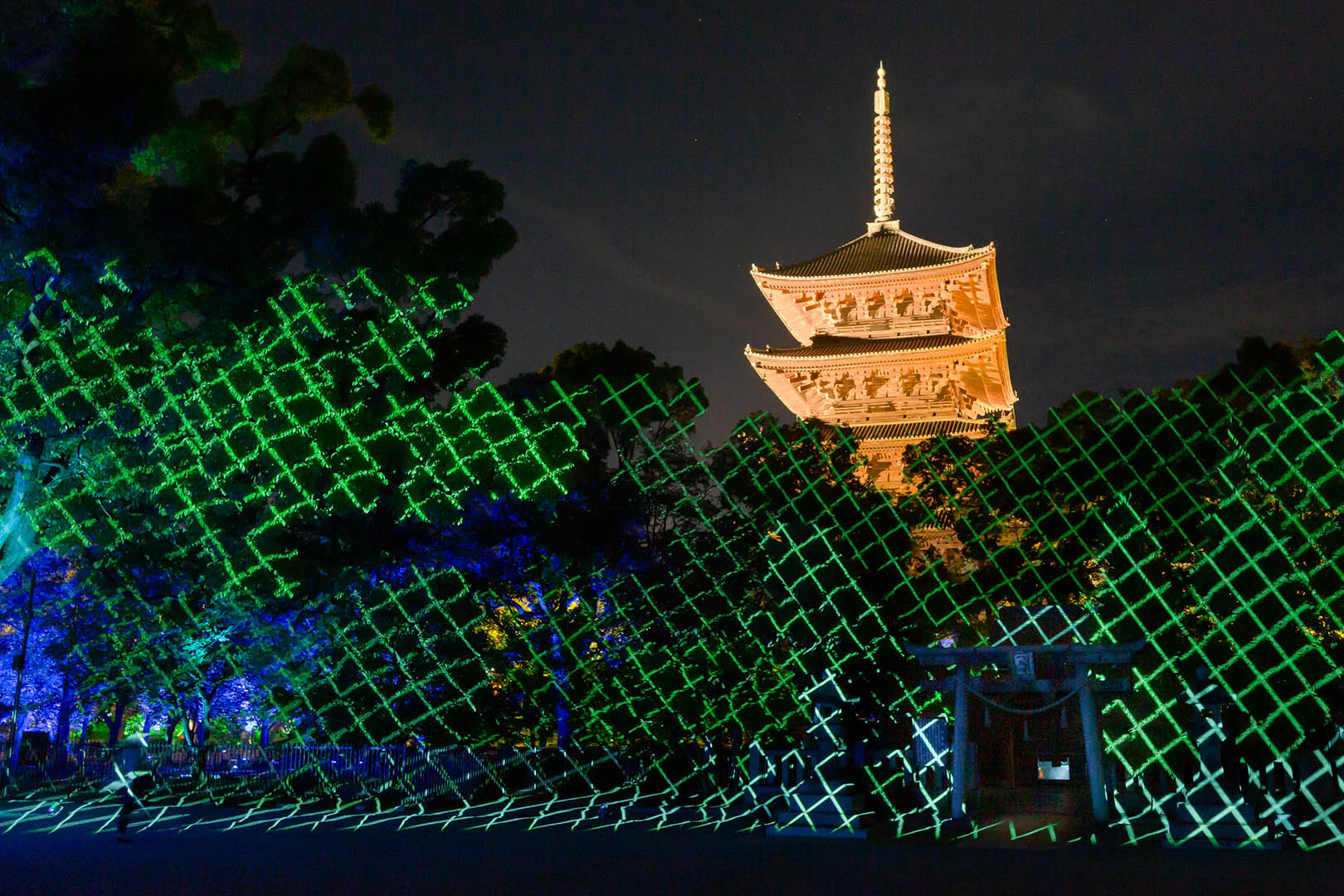 チームラボ 東寺 光の祭_a0003166_13402065.jpg