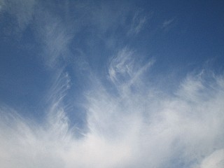 くも_a0003166_1345056.jpg