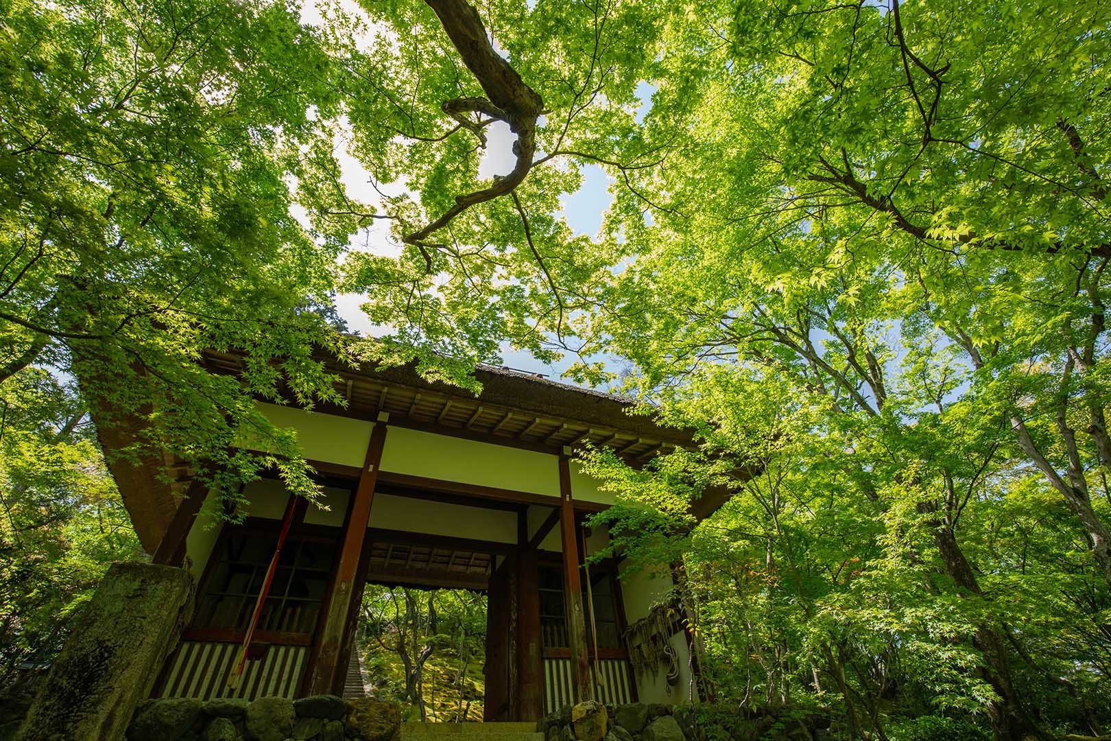 常寂光寺_a0003166_13495315.jpg