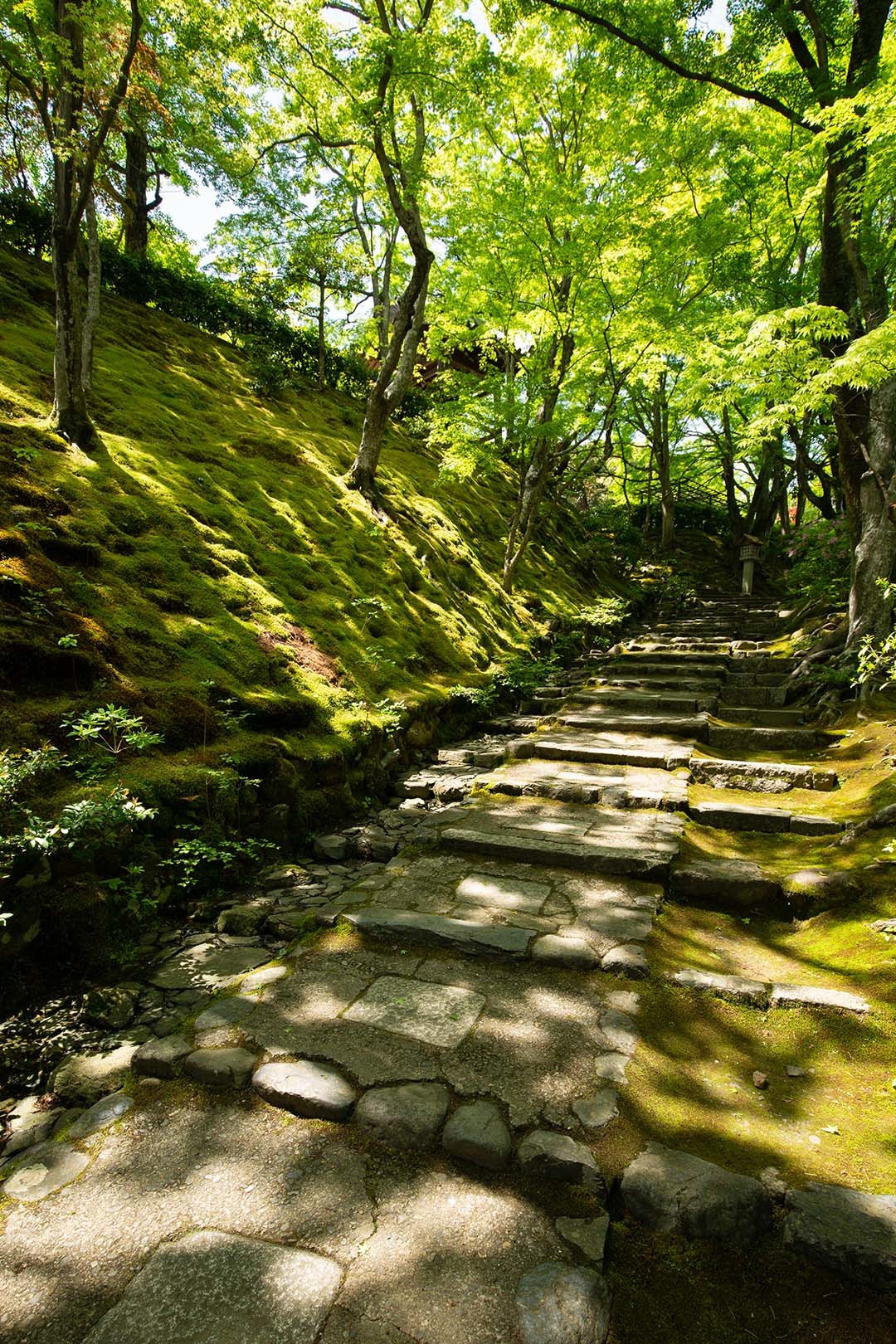 常寂光寺_a0003166_13495391.jpg