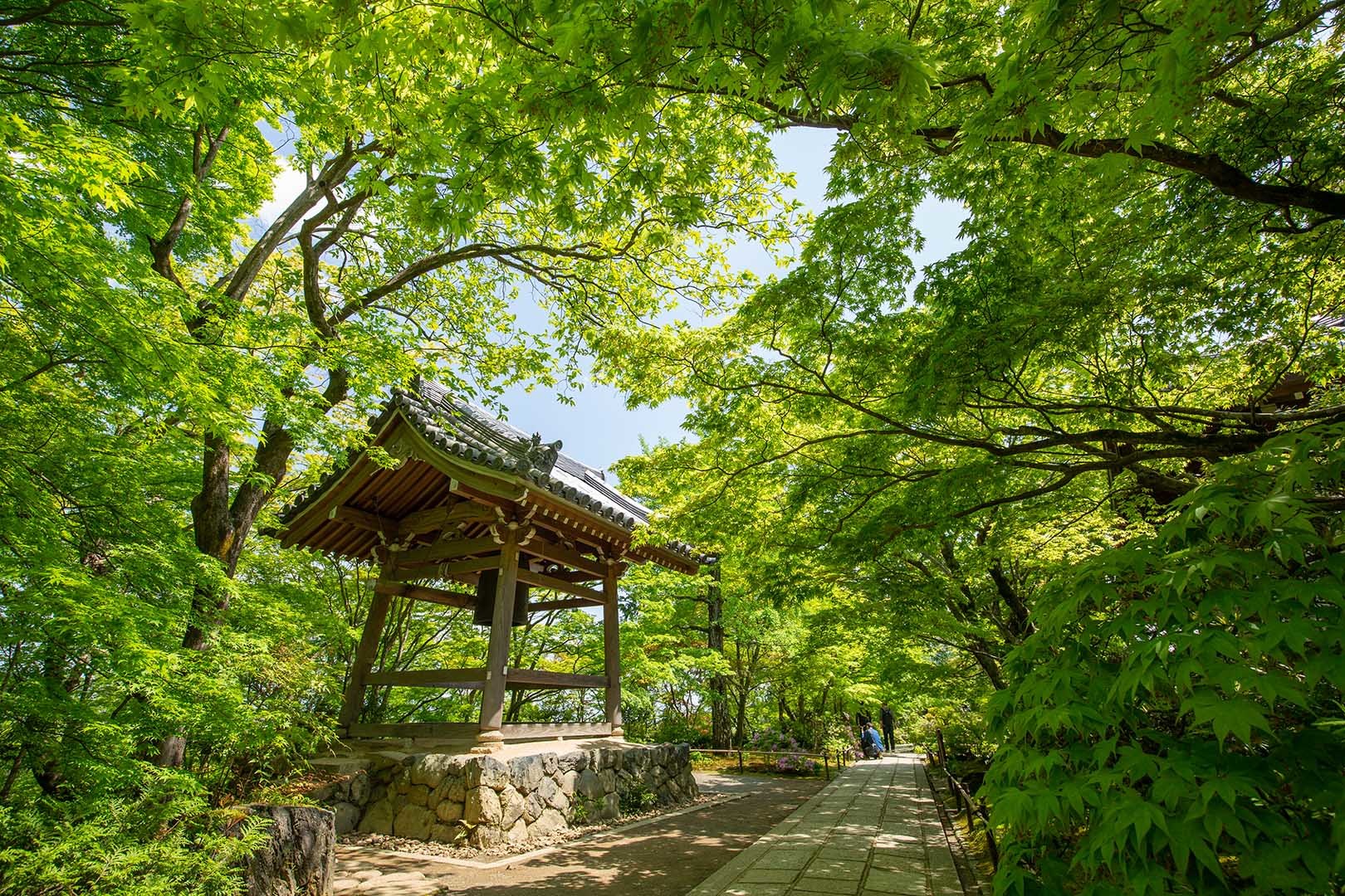 常寂光寺_a0003166_13503440.jpg