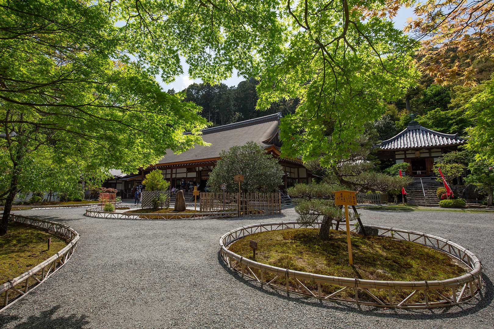 二尊院_a0003166_13523964.jpg