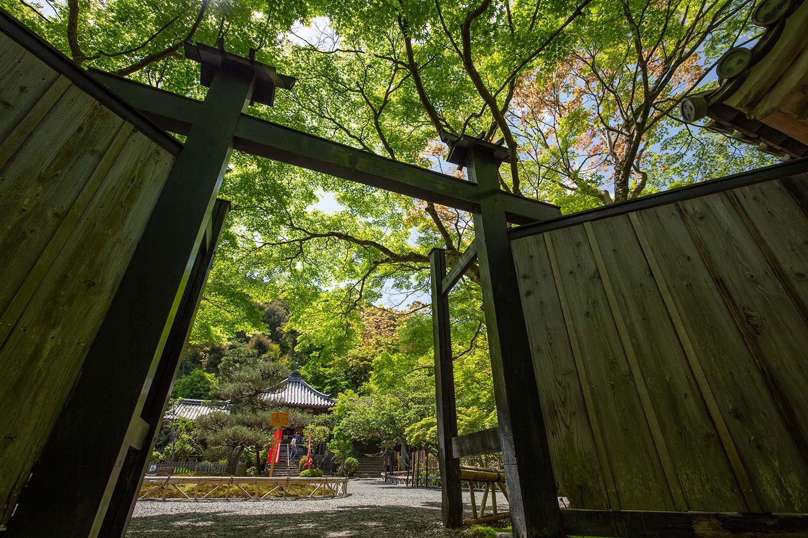 二尊院_a0003166_13531013.jpg