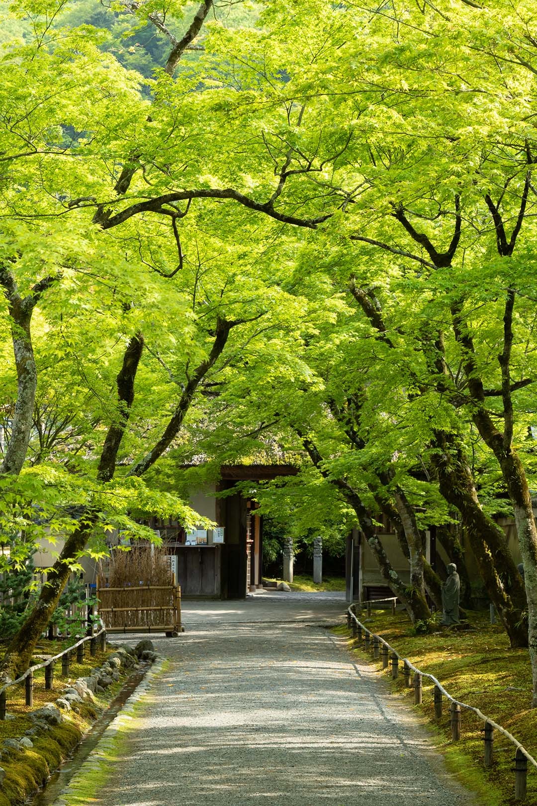 宝厳院_a0003166_13560600.jpg
