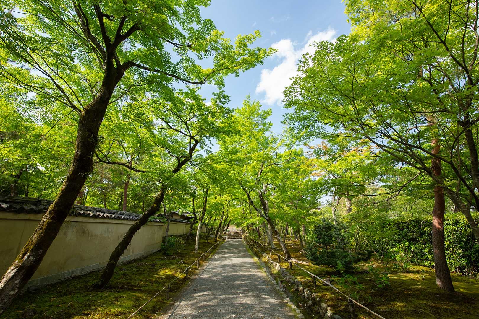 宝厳院_a0003166_13560692.jpg