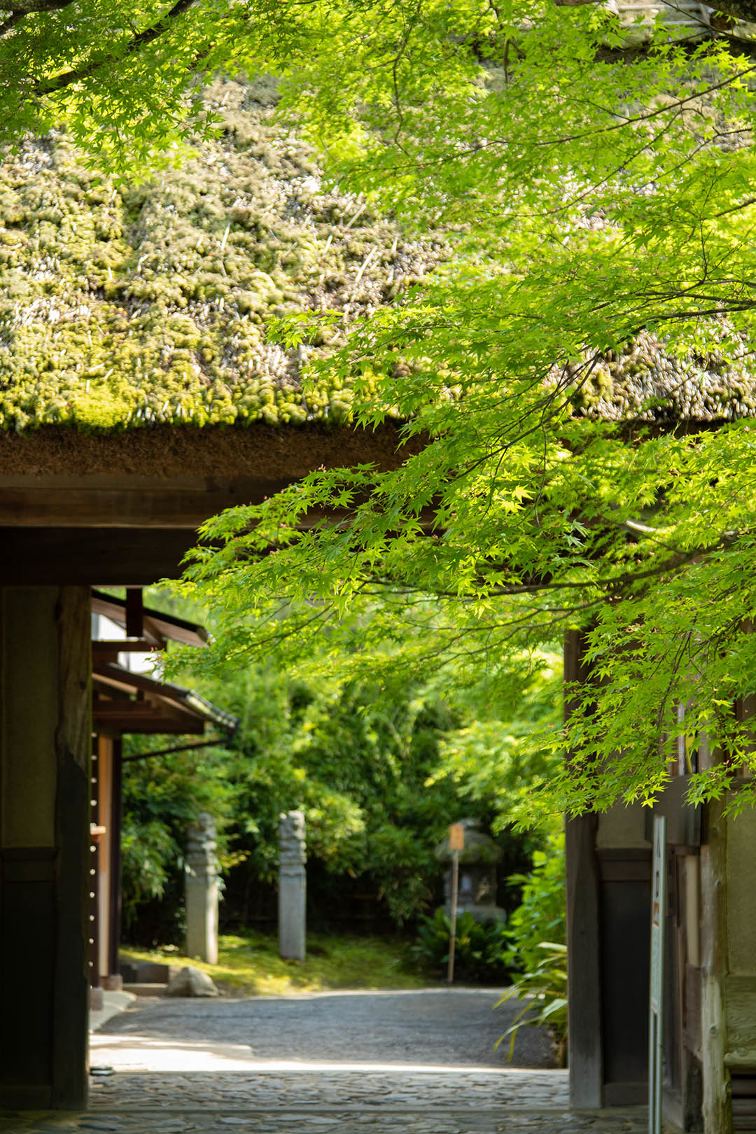 宝厳院_a0003166_13563223.jpg