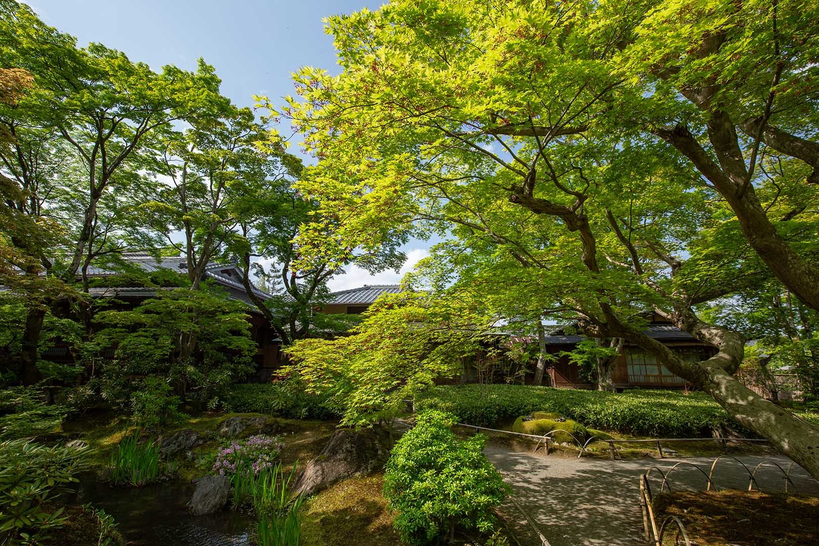 宝厳院_a0003166_13565588.jpg