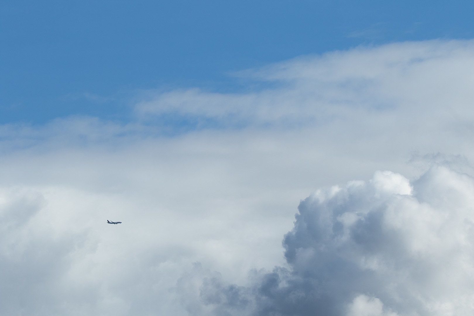 雲と飛行機_a0003166_13574903.jpg