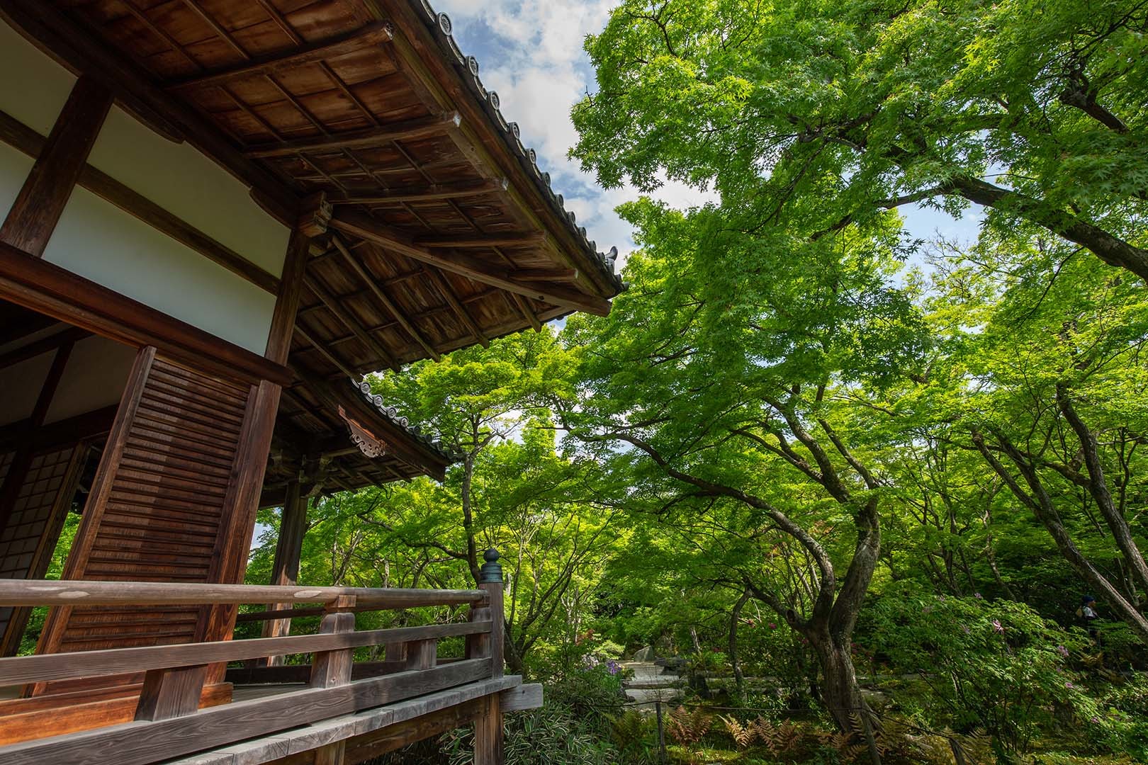 宝筐院_a0003166_13590190.jpg