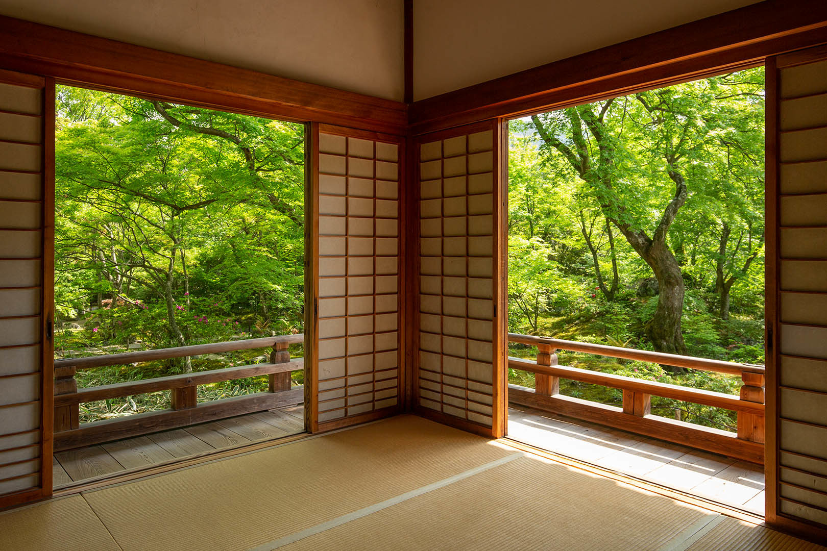 宝筐院_a0003166_13590244.jpg