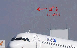 荒いとよく見える_a0003166_1361955.jpg