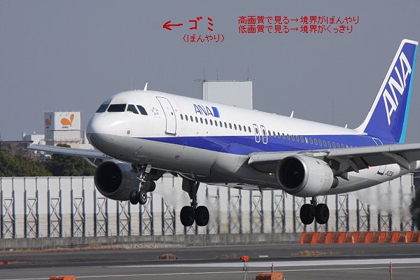 荒いとよく見える_a0003166_13686.jpg