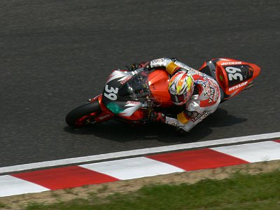 風邪を紛らわす方法_a0003166_1395491.jpg