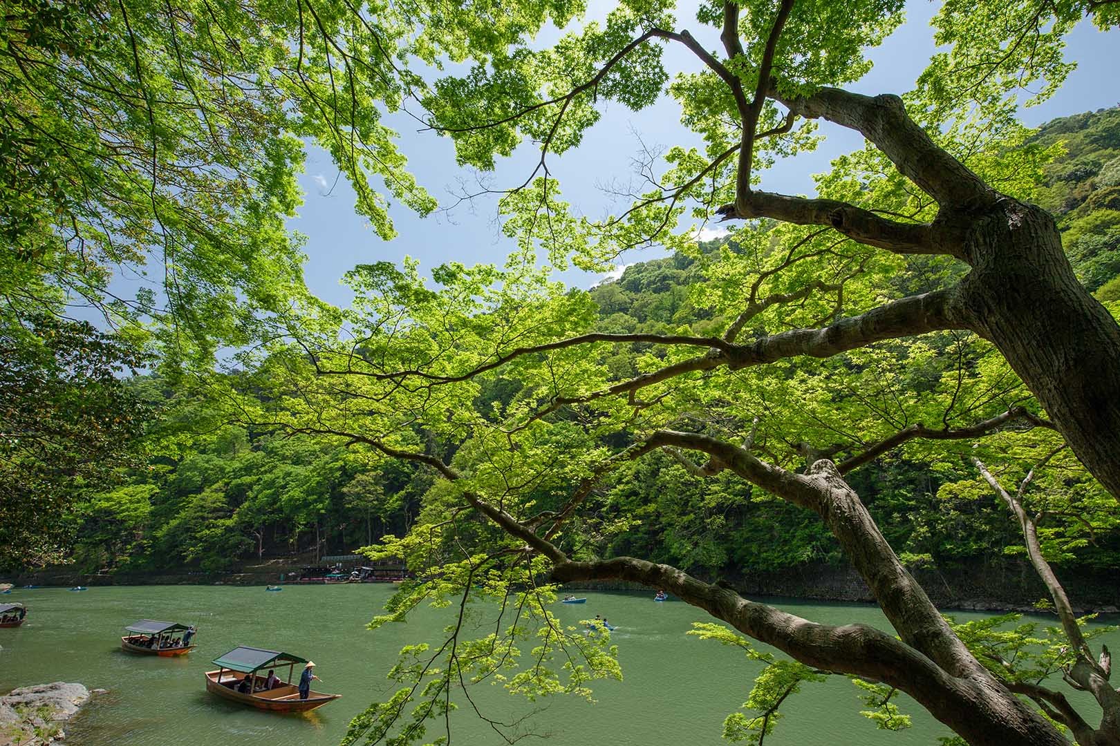 嵐山_a0003166_14010930.jpg
