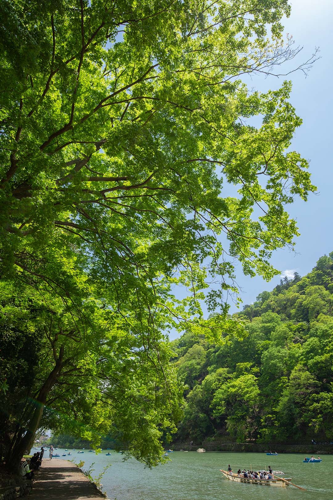 嵐山_a0003166_14011972.jpg