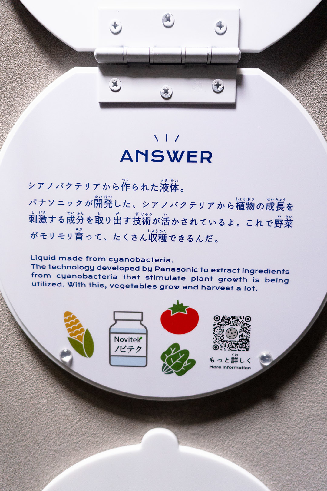 万博 ノモの国、インドネシア_a0003166_14124842.jpg