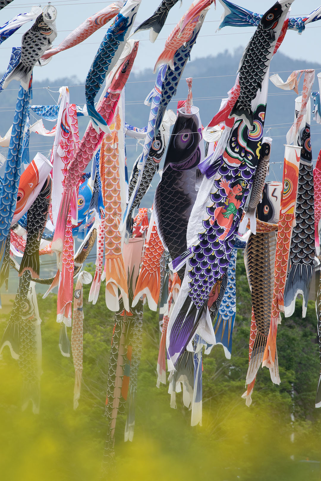 高槻市こいのぼりフェスタ_a0003166_14134910.jpg