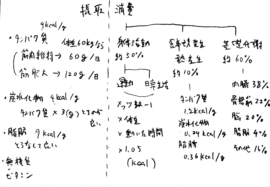 摂取カロリー、消費カロリー　まとめ_a0003166_14144619.jpg