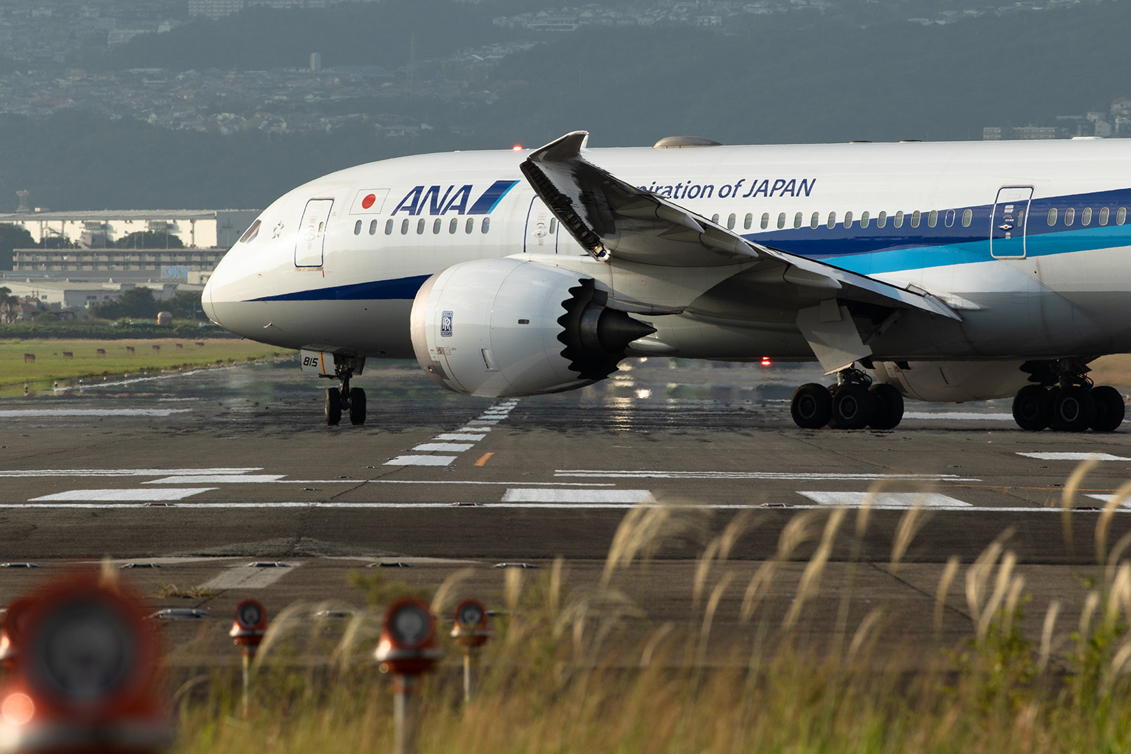 空港　ススキ_a0003166_14172790.jpg