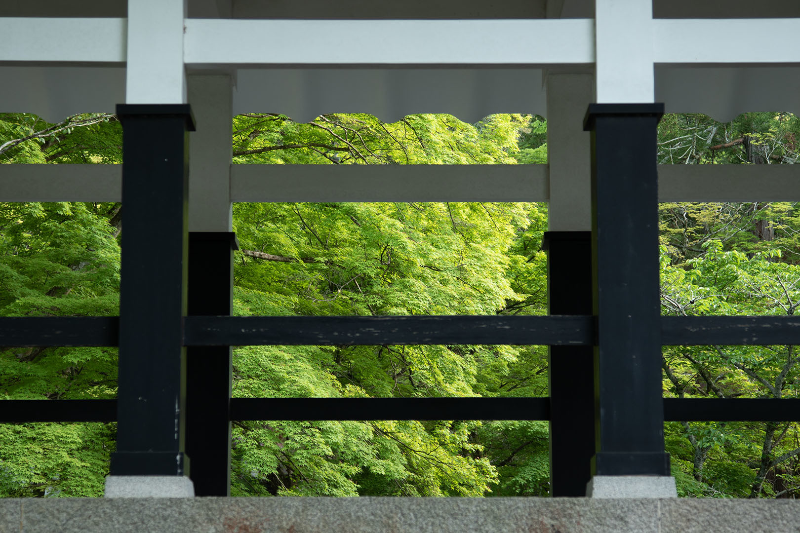 南禅寺_a0003166_14215317.jpg
