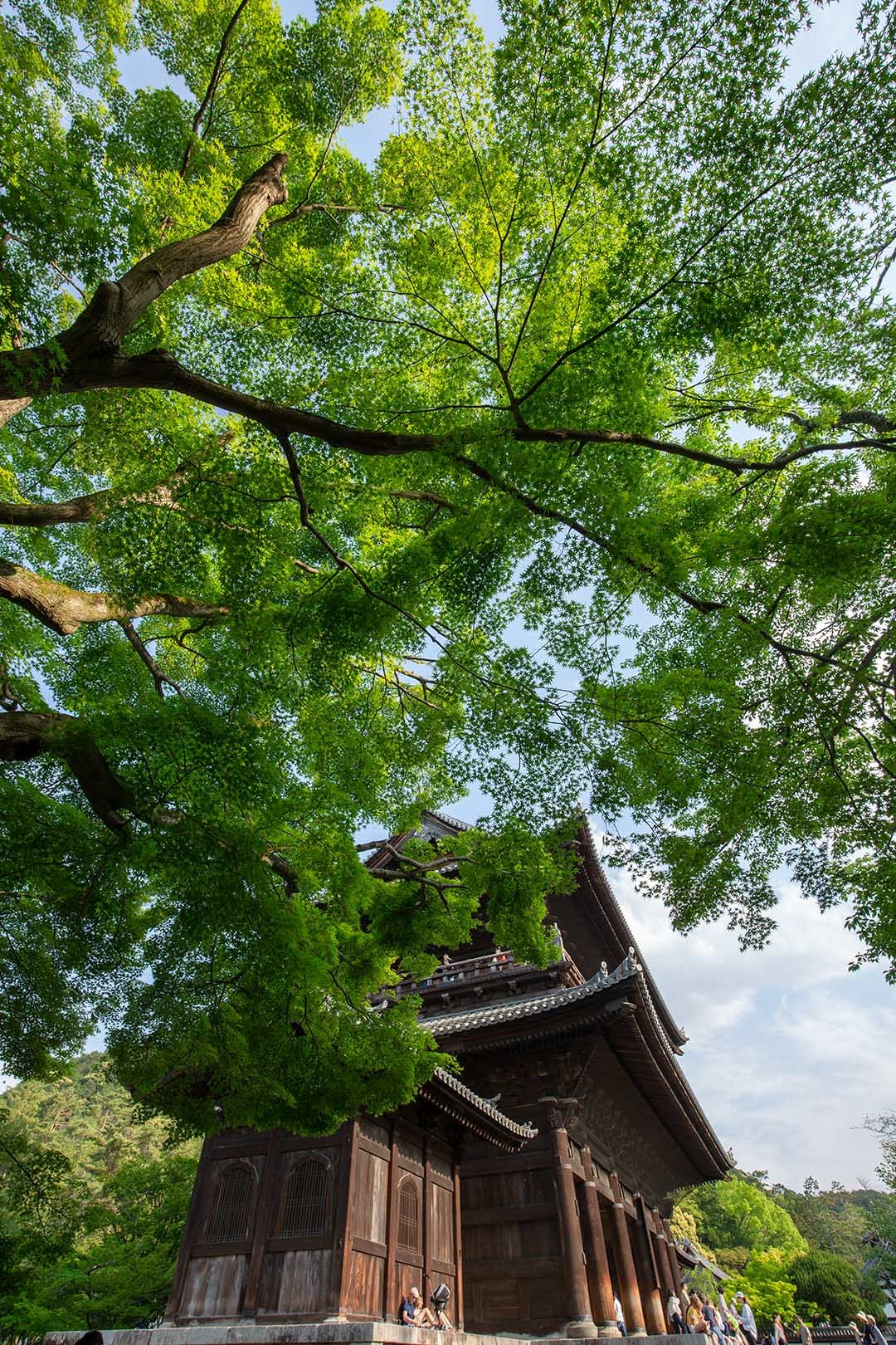 南禅寺_a0003166_14225125.jpg