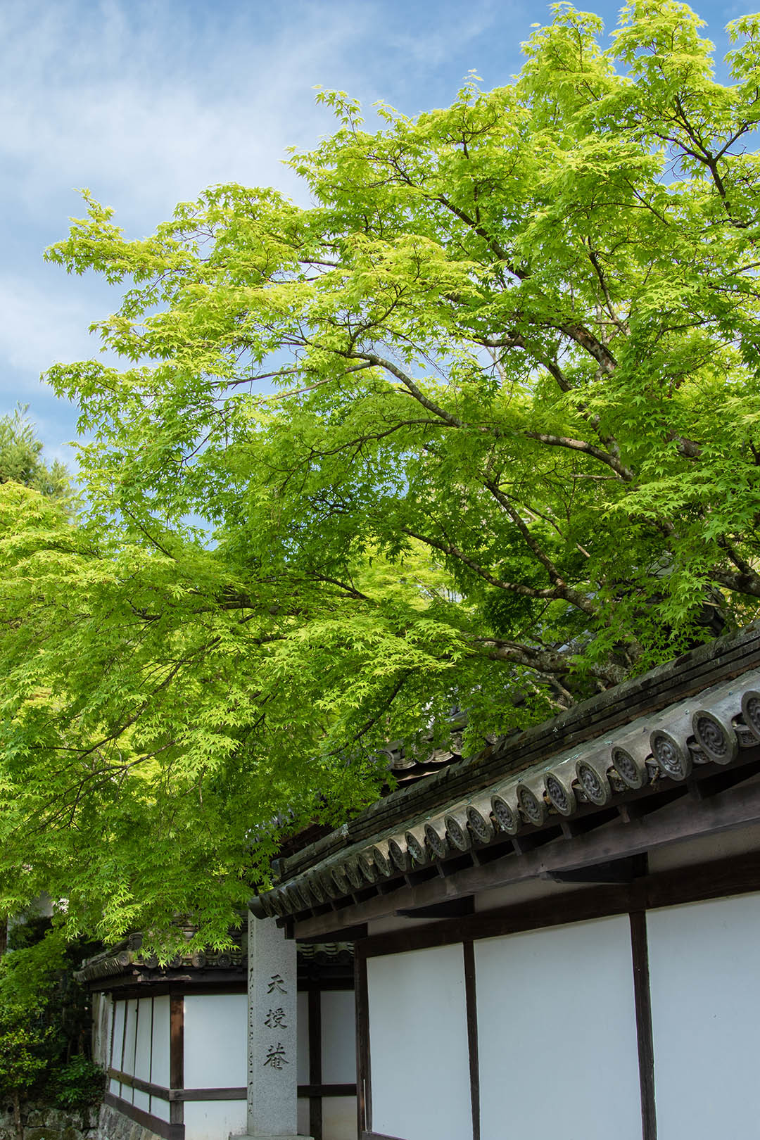 南禅寺_a0003166_14225281.jpg