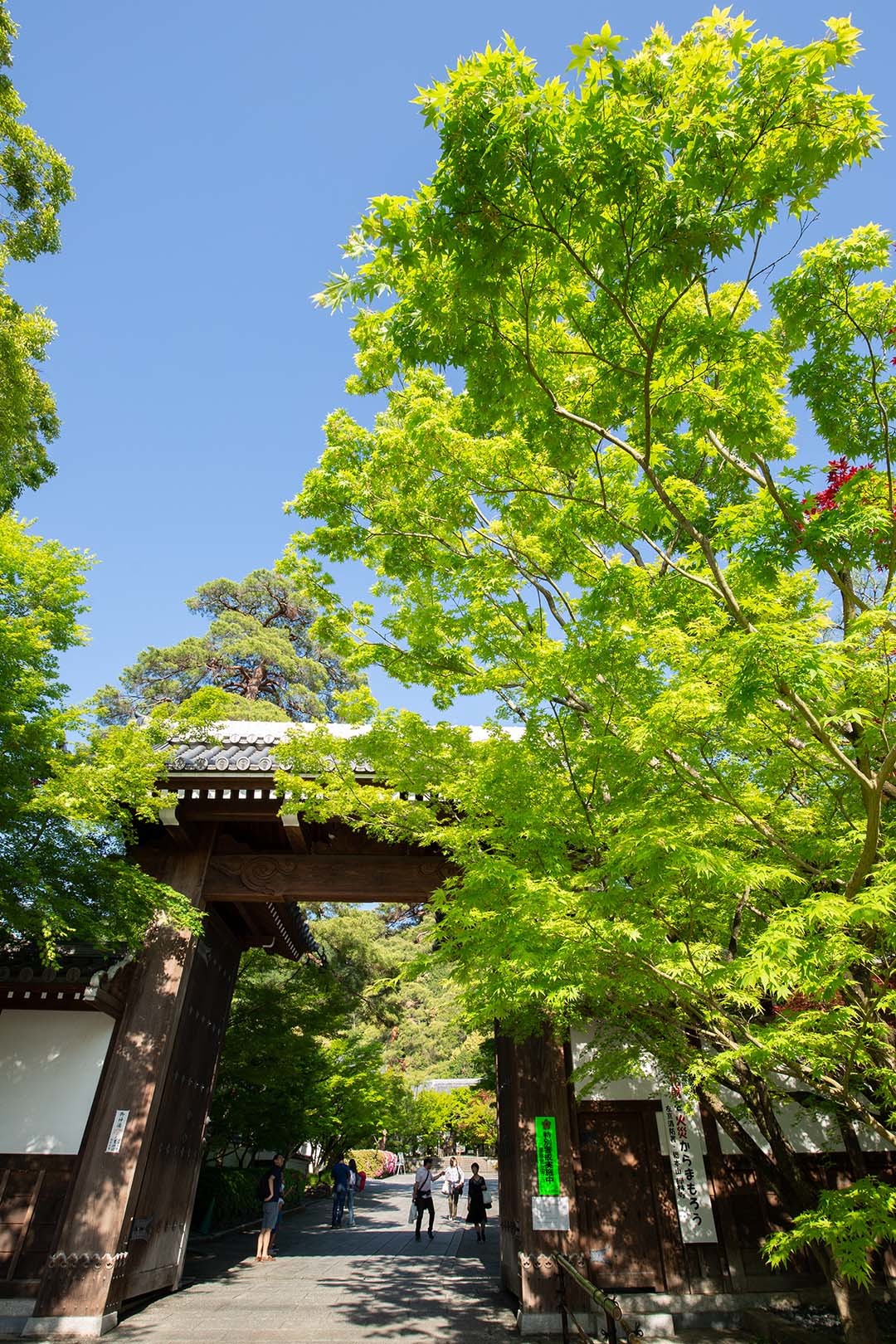 南禅寺など_a0003166_14290405.jpg