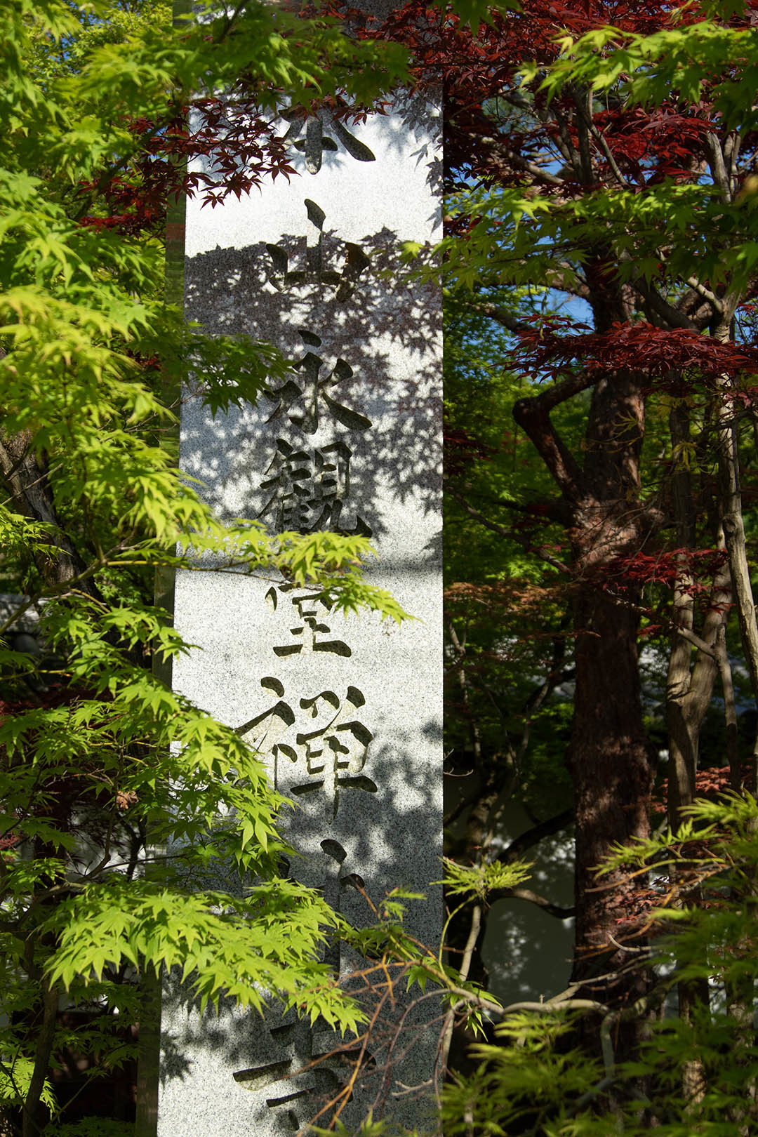 南禅寺など_a0003166_14291346.jpg