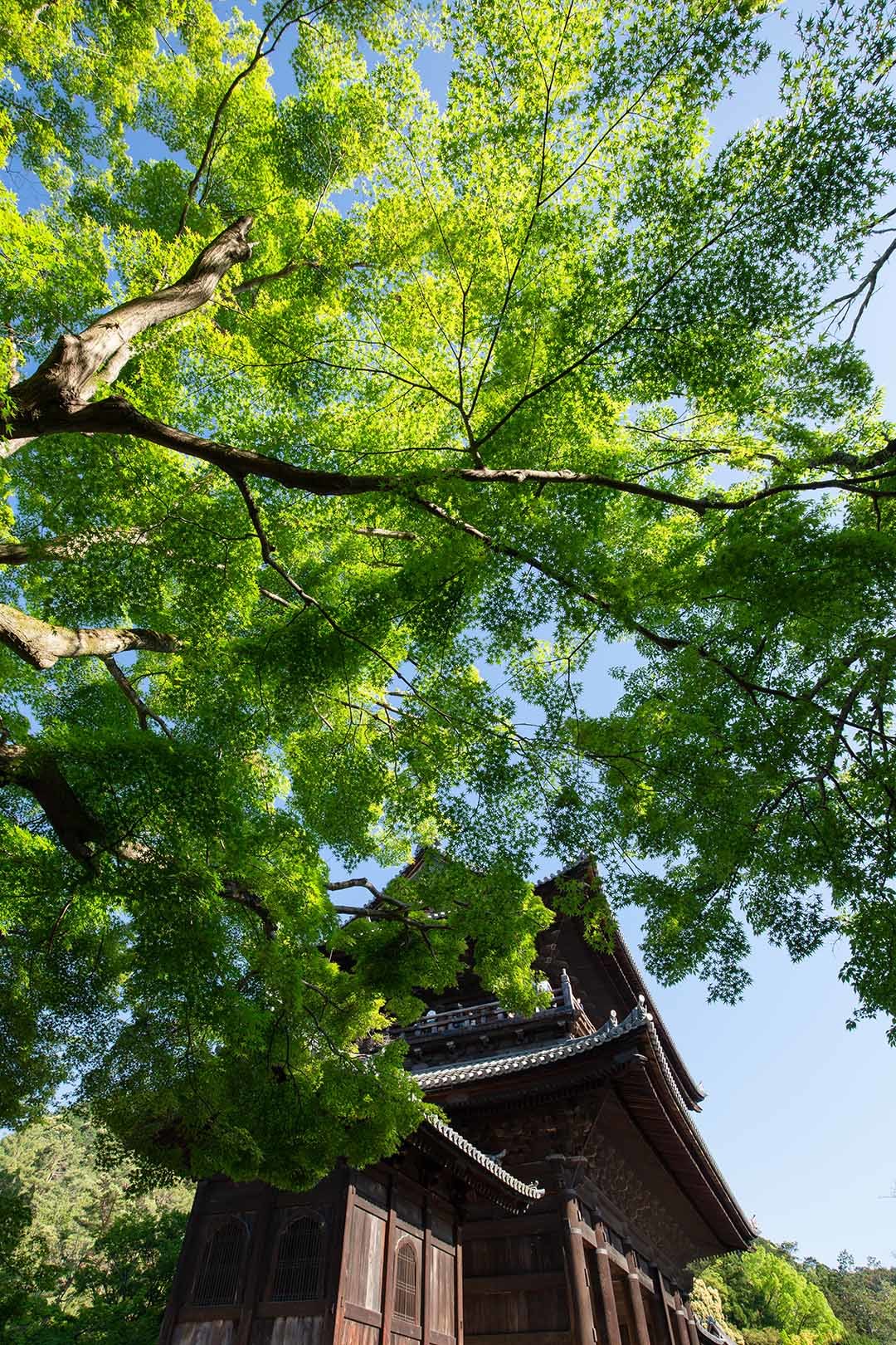 南禅寺など_a0003166_14291352.jpg