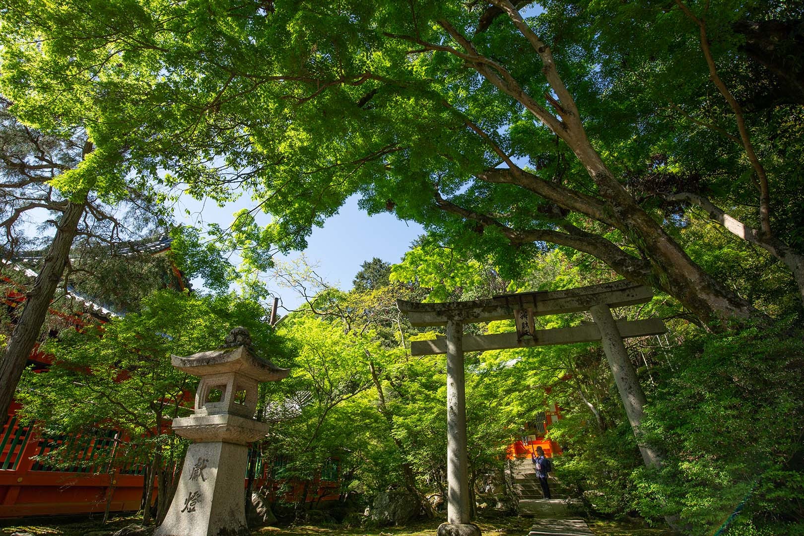 毘沙門堂_a0003166_14335789.jpg