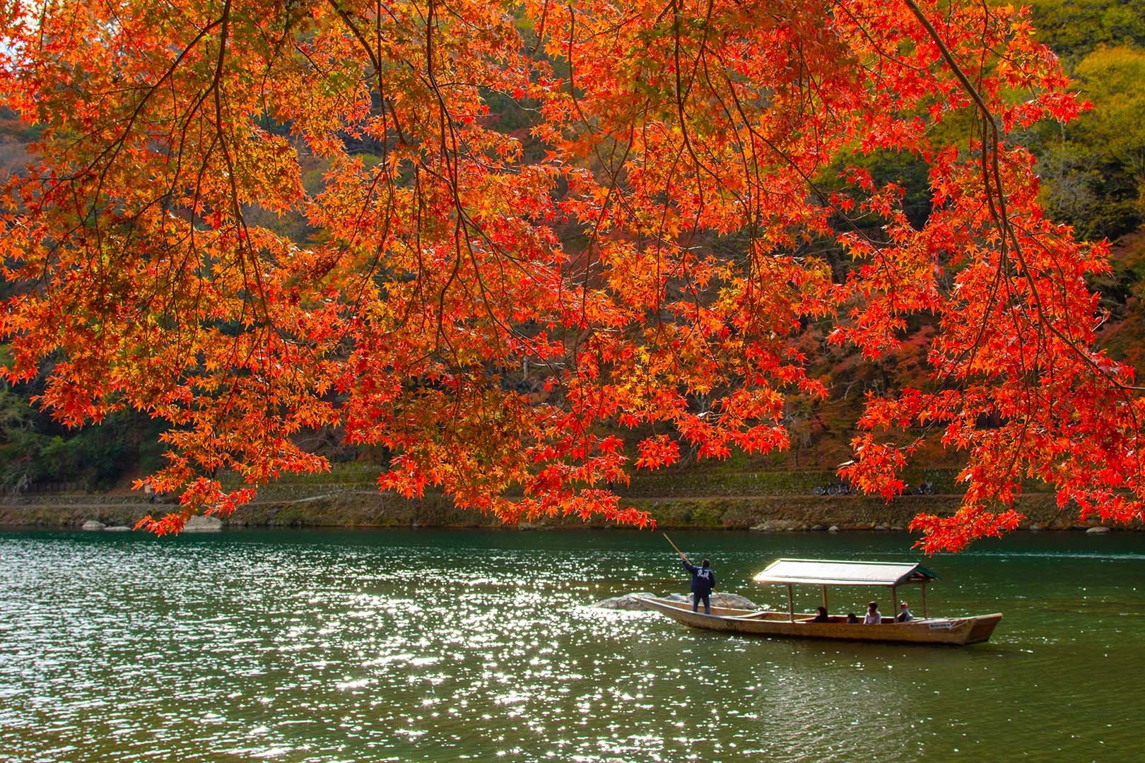 京都 紅葉 （嵐山、宝厳院、天龍寺など）_a0003166_14350761.jpg