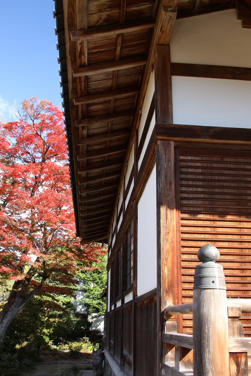 嵐山_a0003166_143643.jpg