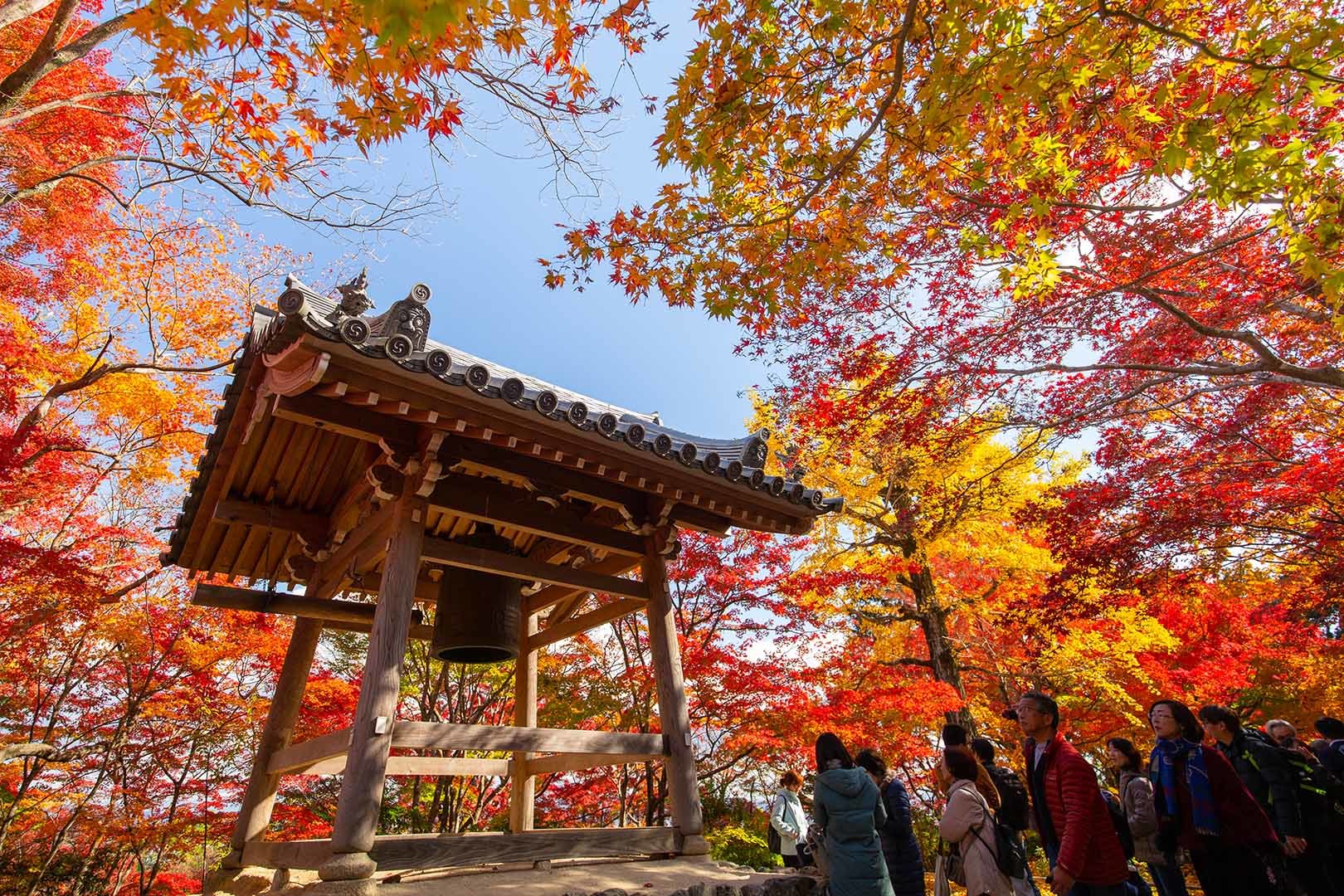 京都 紅葉 （常寂光寺）_a0003166_14372723.jpg