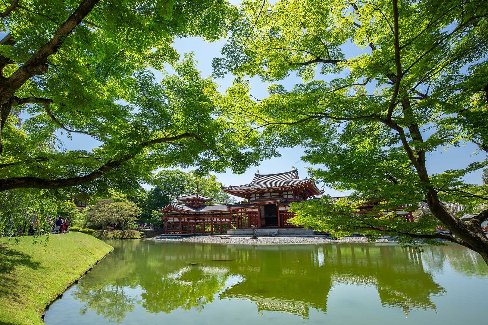 平等院_a0003166_14383489.jpg