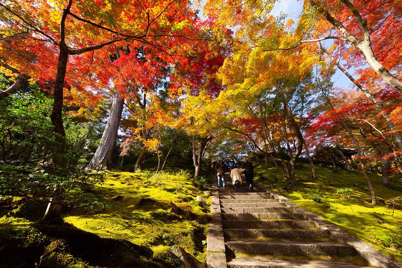 常寂光寺　紅葉　その２_a0003166_14420602.jpg