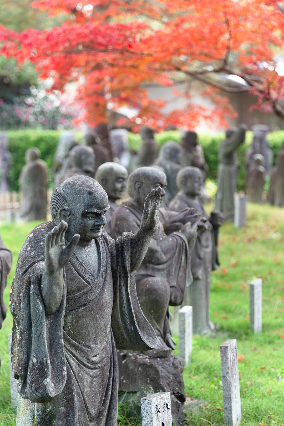 宝厳院　紅葉_a0003166_14443595.jpg