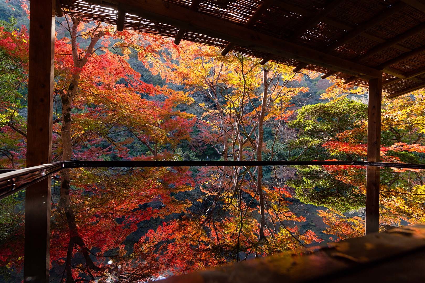 裕斎亭　紅葉　その１_a0003166_14472613.jpg