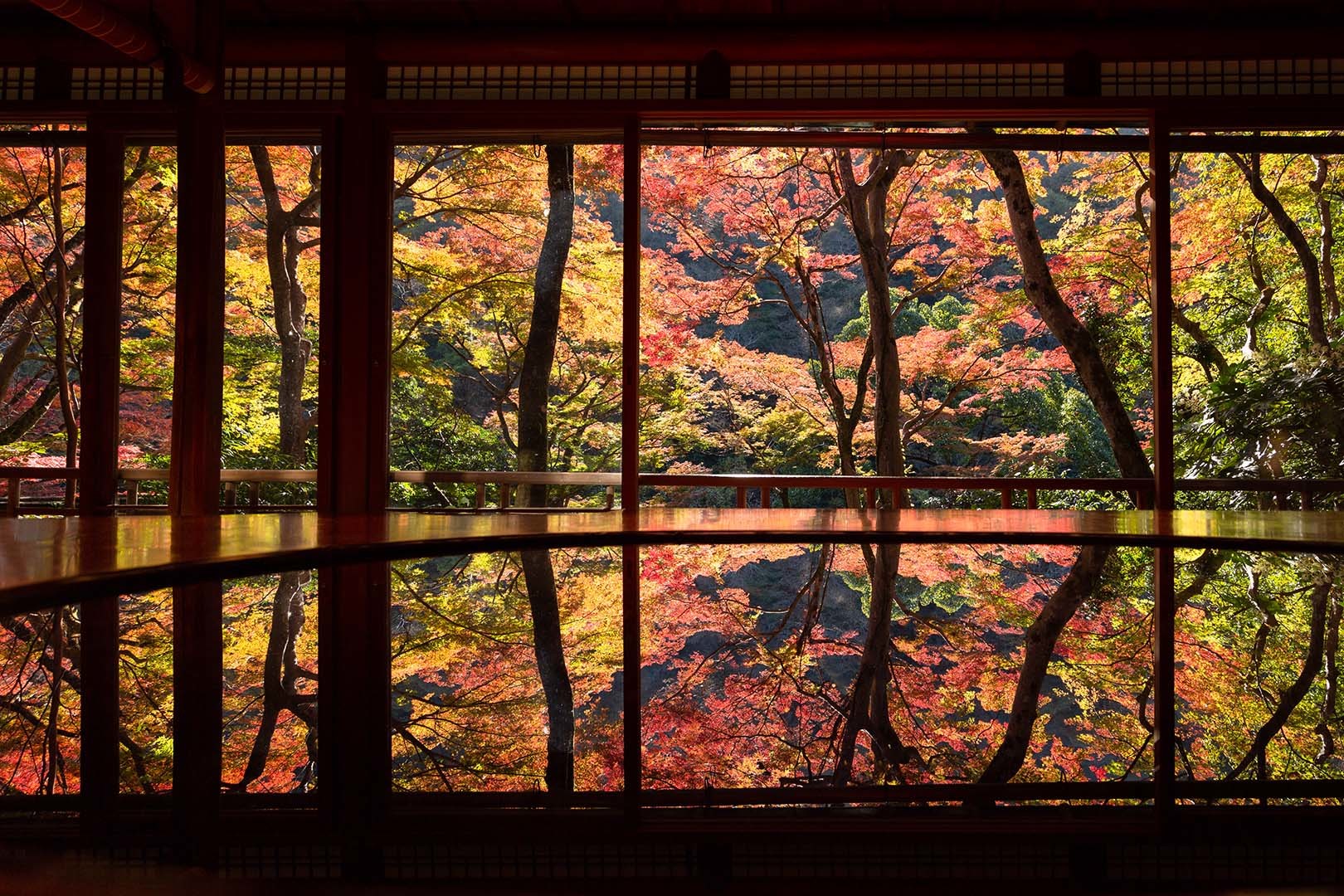裕斎亭　紅葉　その１_a0003166_14472617.jpg