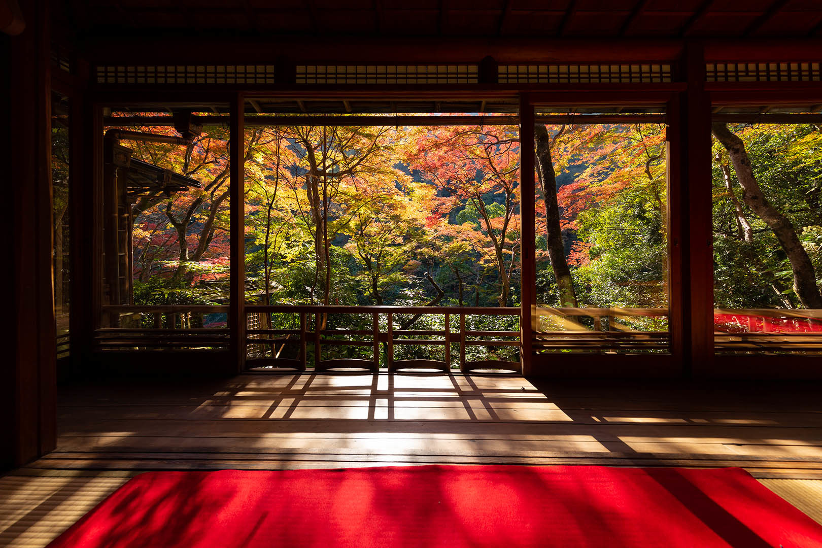 裕斎亭　紅葉　その２_a0003166_14484115.jpg
