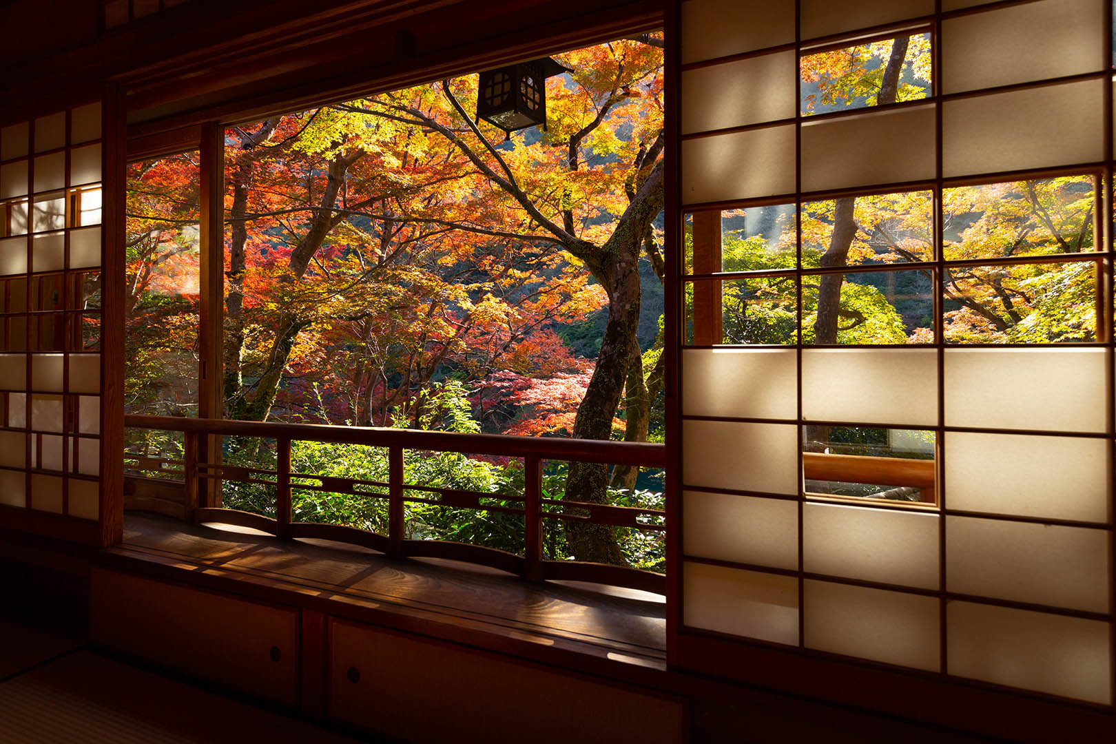 裕斎亭　紅葉　その２_a0003166_14484234.jpg