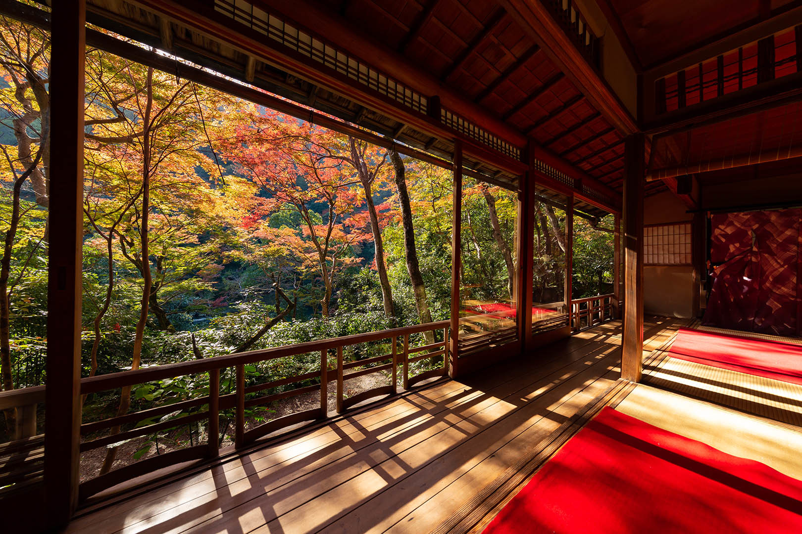 裕斎亭　紅葉　その２_a0003166_14484258.jpg