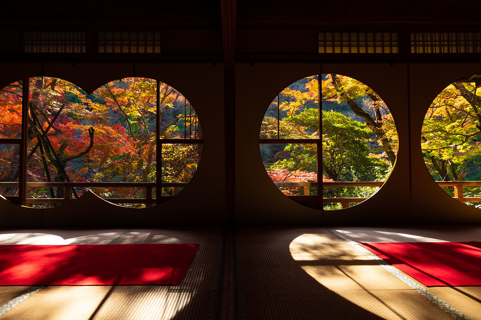 裕斎亭　紅葉　その２_a0003166_14484263.jpg
