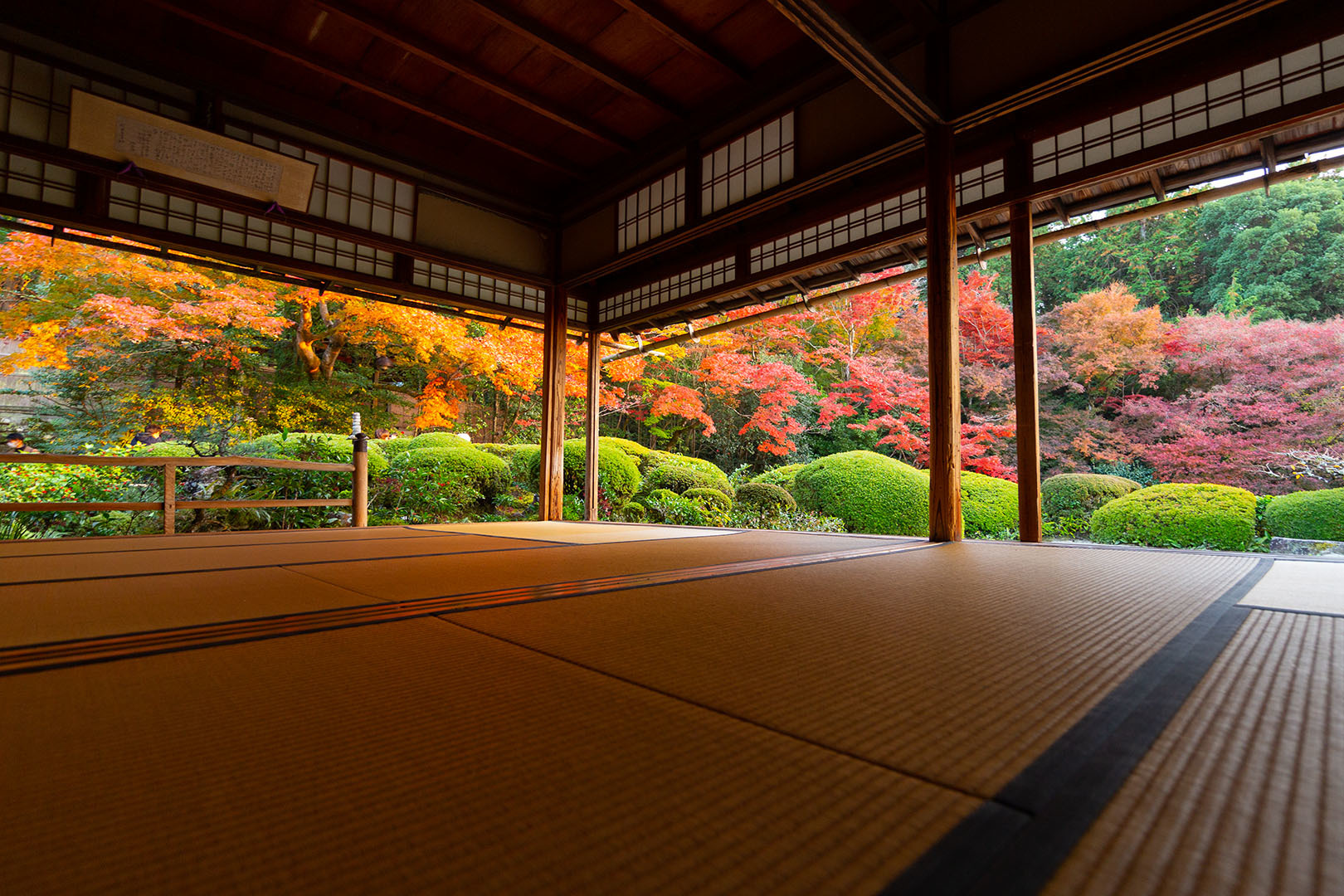 詩仙堂　紅葉_a0003166_14501609.jpg